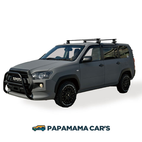 フロントグリルガード / USマイルボックス専用 / 160系プロボックス・サクシード 全グレード対応 0176 0178