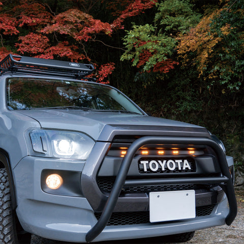 グリルマーカー / USマイルボックス専用 / 160系プロボックス・サクシード 全グレード対応 0209