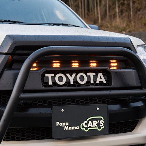 グリルマーカー / USマイルボックス専用 / 160系プロボックス・サクシード 全グレード対応 0209