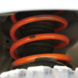 バネリフト / 160系プロボックス・サクシード / 全グレード対応 NCP160系 NCP165系 NSP160系 NHP160系