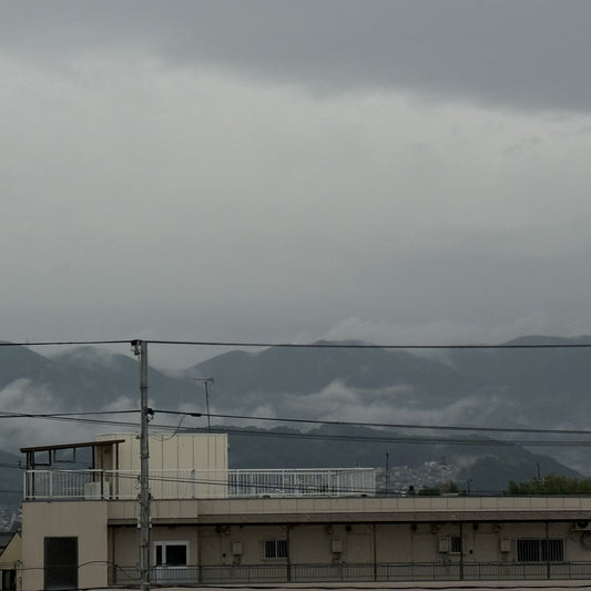 雨